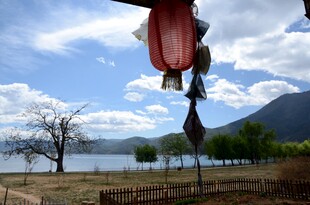 湖畔红灯笼装点美丽风光