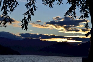 湖畔垂柳映晚霞美景