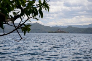 湖畔树枝与远山湖水景色
