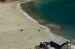 海边小屋与沙滩景致