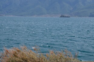 湖畔风光 碧波与岸草相映