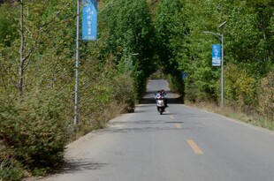 林间公路上的摩托车行驶