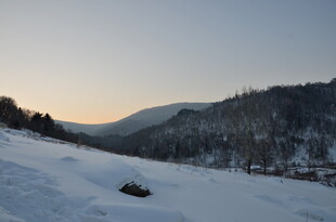 冬日雪覆山林美景