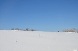 冬日雪野蓝天美景