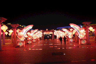 夜晚绚丽彩灯下的热闹场景