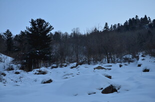 冬日雪景中的山林风光