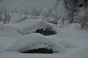 雪覆大地的静谧冬日景象