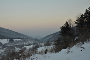 冬日雪覆山林美景