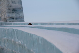 雪覆城墙 一人独行其上