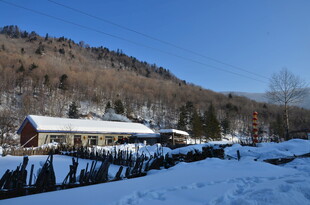 冬日山村雪景风光