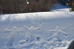 雪地中的趣味脚印痕迹