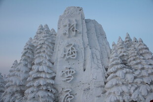 冰雪覆盖的壮观雪松景观