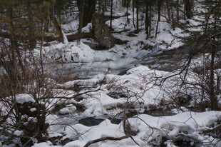 冬日雪覆林间小溪景象