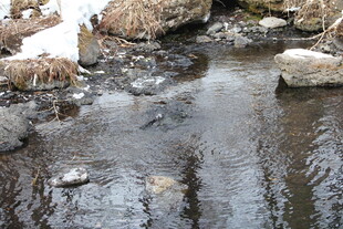 冬日溪流中的潺潺流水
