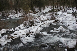 冬日溪流覆雪美景