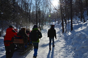 冬日雪地徒步的人群
