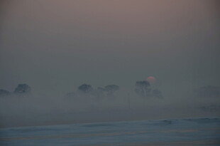 海边朦胧暮色中的模糊景象