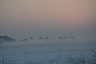 晨雾中的原野朦胧美景