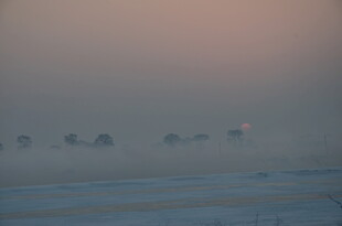 沙漠中朦胧的驼队景象
