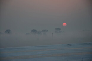 日出时分的朦胧原野景色