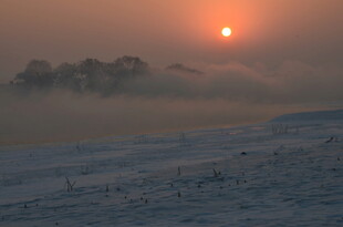 冬日晨雾中的日出美景