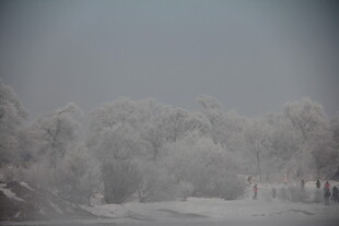 冬日雾凇雪景图