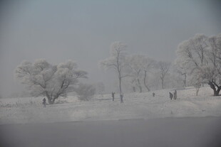 冬日雪景中的树木与行人