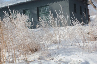 雪覆霜草旁的建筑一角