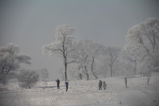 冬日雾凇下的漫步场景