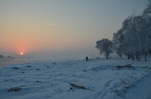 冬日雪地日出静谧景象