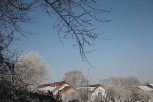 冬日霜覆村庄景致