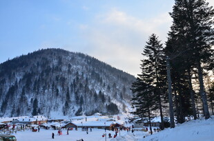 冬日雪山下的热闹滑雪场景