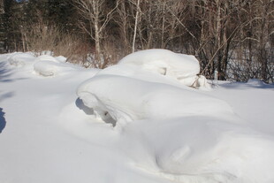冬日雪景中的雪堆景观