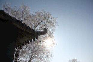 古建屋檐映冬日暖阳