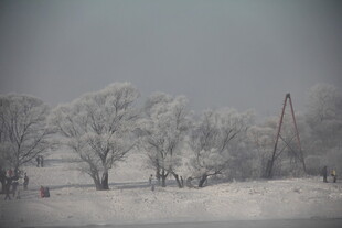冬日雪景中的树木与机械