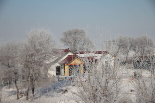 冬日雪覆村庄美景