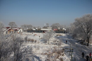 冬日雪覆村庄美景