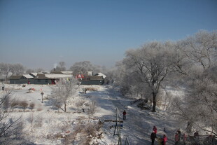 冬日雪景中的静谧村落