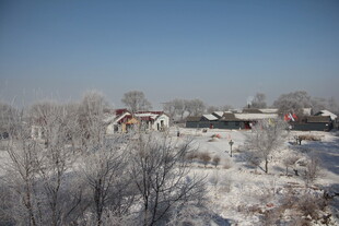 冬日乡村雪景风光
