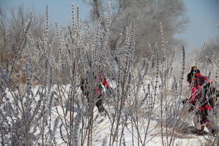 雪地中工作人员野外作业