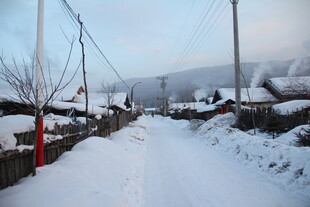 冬日乡村雪景小路