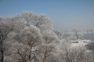 冬日雾凇景观