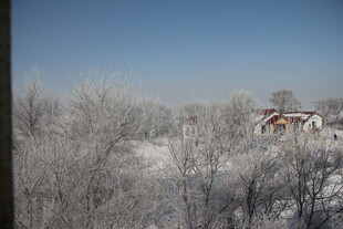 冬日雪景中的静谧村庄