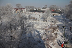 冬日雪景中的村庄景象