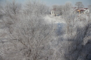 冬日银装素裹的静谧村落 长白山