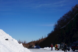 冬日雪地风景 长白山
