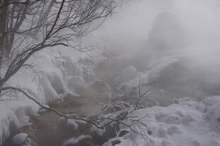冬日雾凇景观 长白山