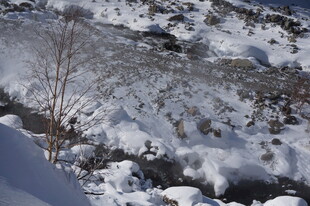 冬日雪景中的荒芜景象 长白山