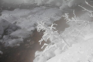 雪覆植物的冬日景致 长白山