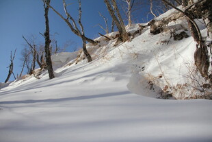 雪覆山坡与枯树景观 长白山